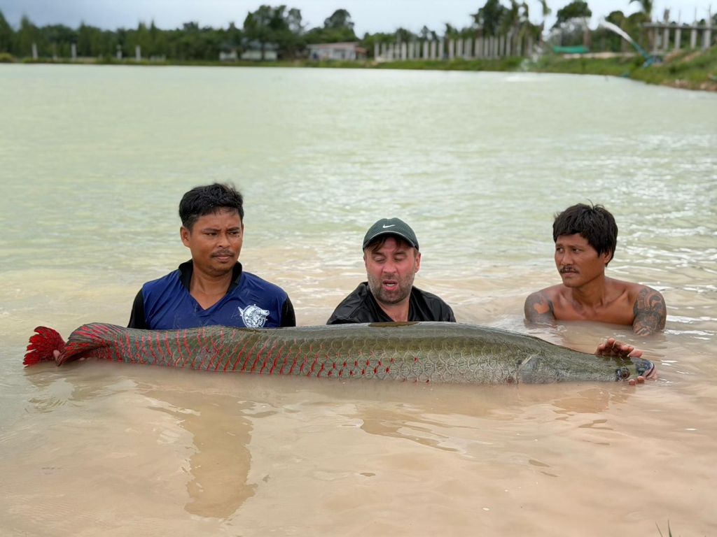 Arapaima (Arapaima gigas) — red-fringed scales