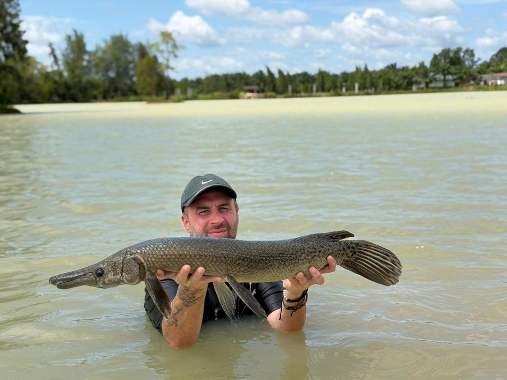 Alligator Gar (Atractosteus spatula)