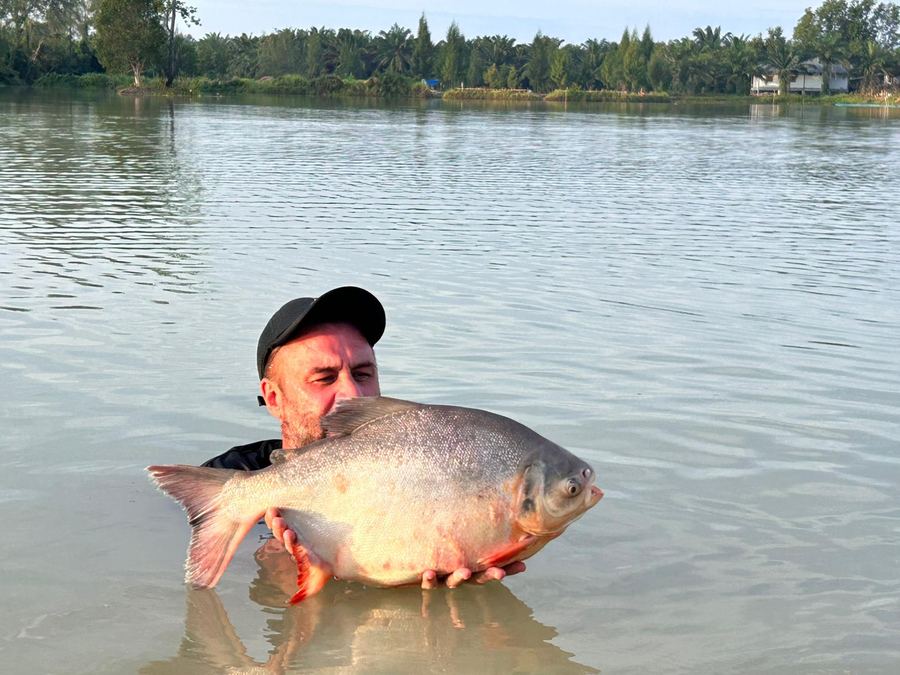 Catch from Paradise Fishing Resort