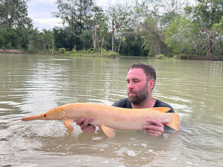 Catch from Paradise Fishing Resort