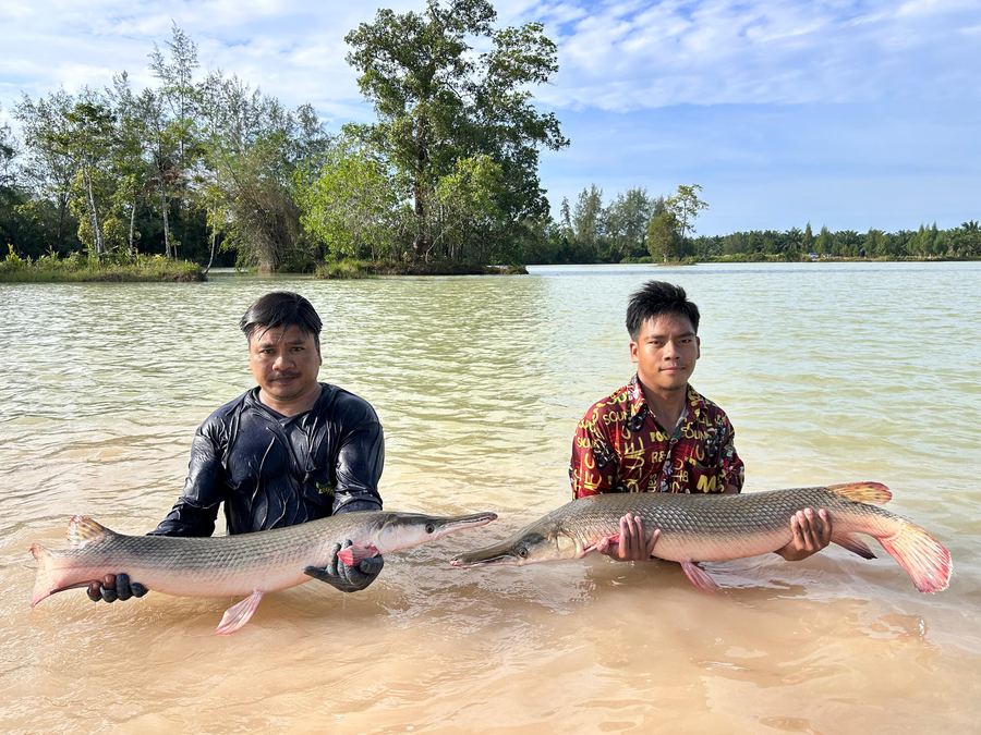Catch from Paradise Fishing Resort