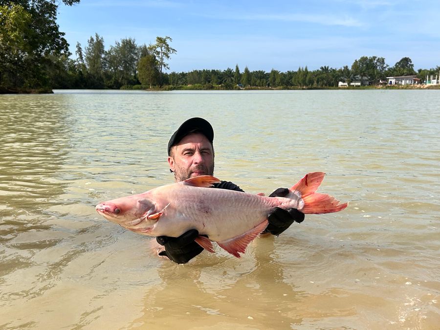 Catch from Paradise Fishing Resort