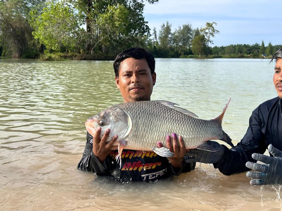 Catch from Paradise Fishing Resort