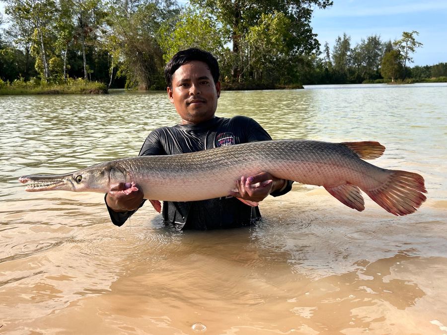 Catch from Paradise Fishing Resort