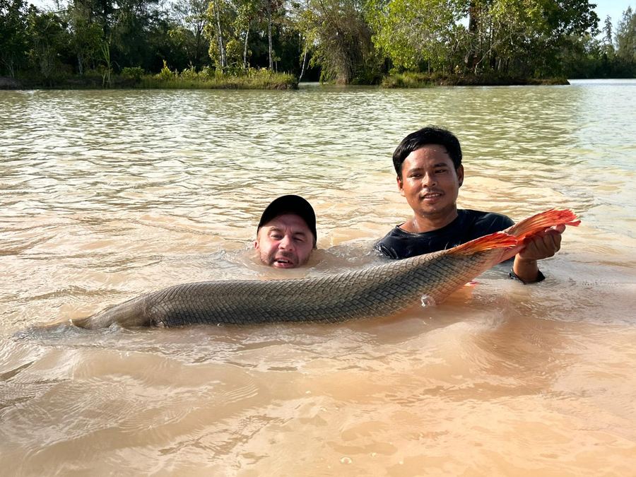 Catch from Paradise Fishing Resort