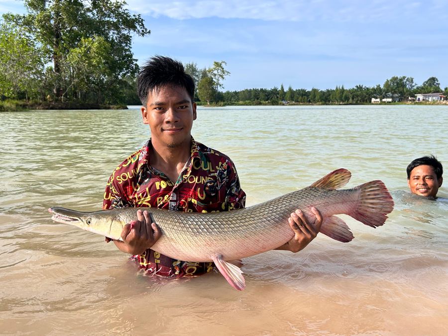 Catch from Paradise Fishing Resort