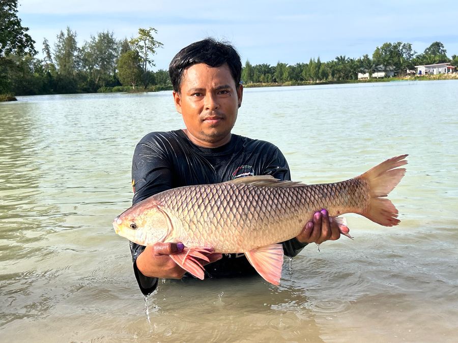 Catch from Paradise Fishing Resort