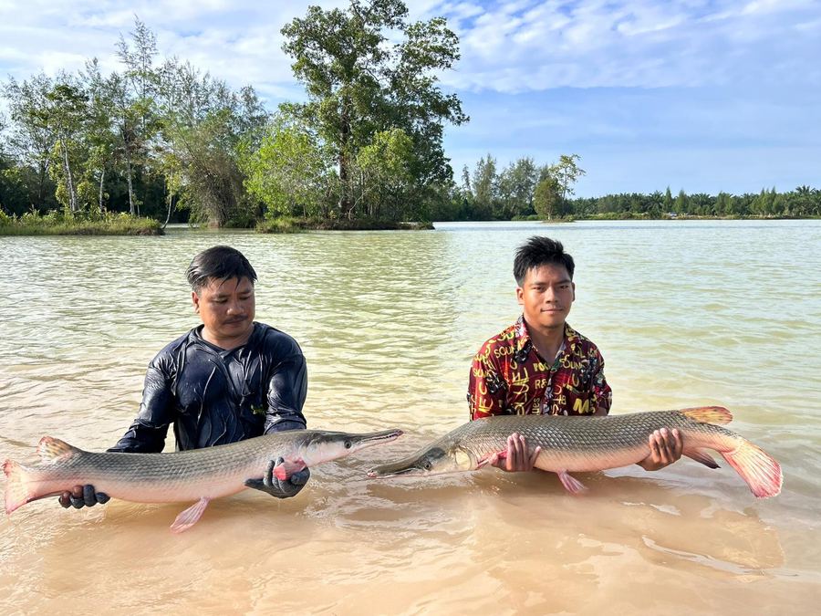 Catch from Paradise Fishing Resort