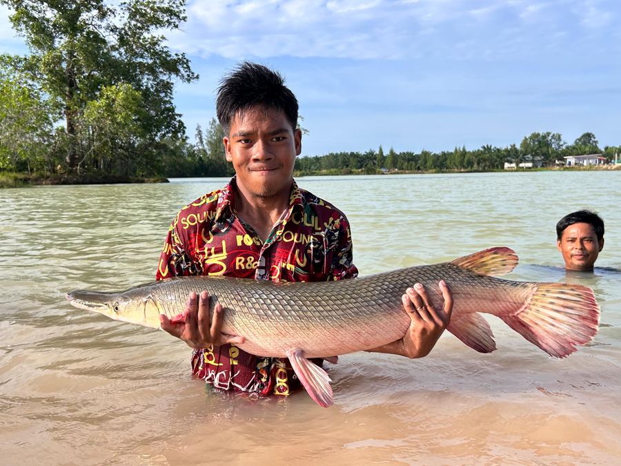 Catch from Paradise Fishing Resort