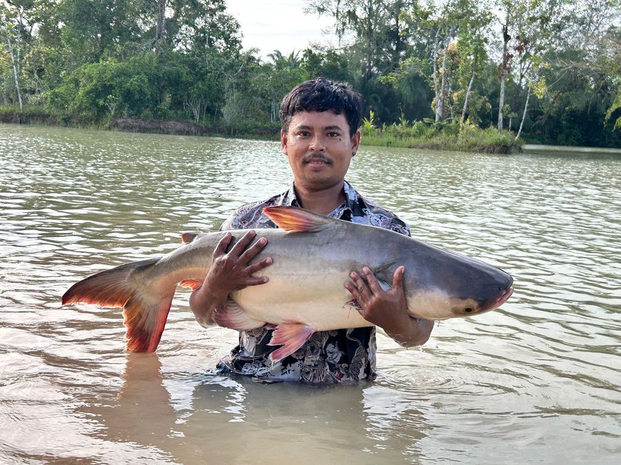 Catch from Paradise Fishing Resort