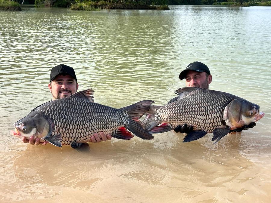 Catch from Paradise Fishing Resort