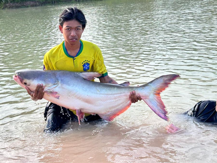 Catch from Paradise Fishing Resort