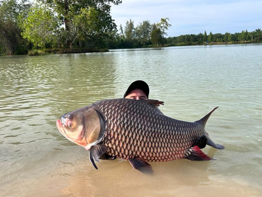 Catch from Paradise Fishing Resort
