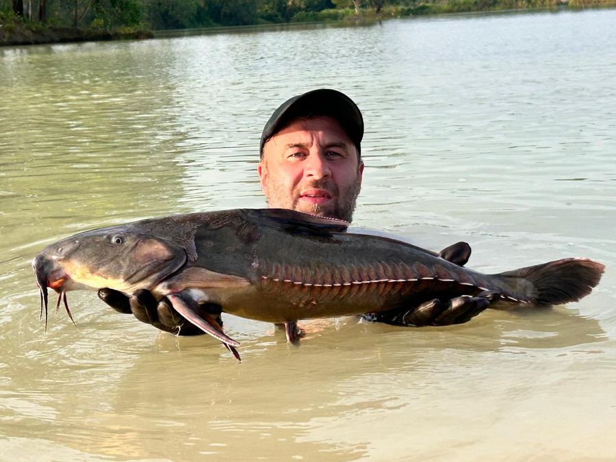 Catch from Paradise Fishing Resort