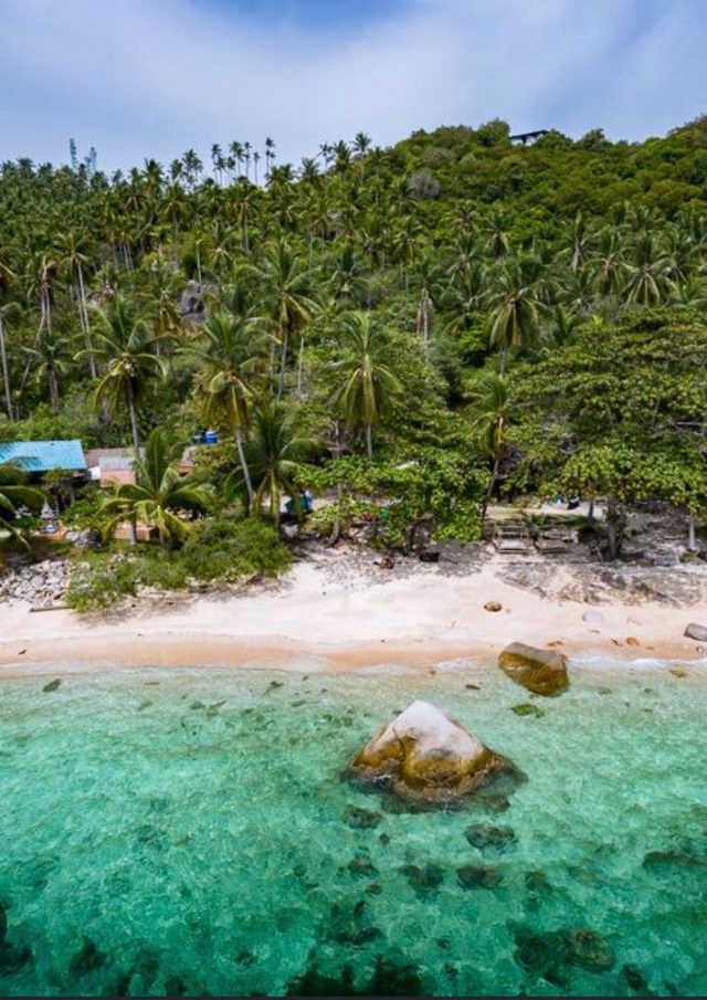Koh Tao beach — palms, turquoise water, white sand